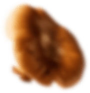 Mushroom 2